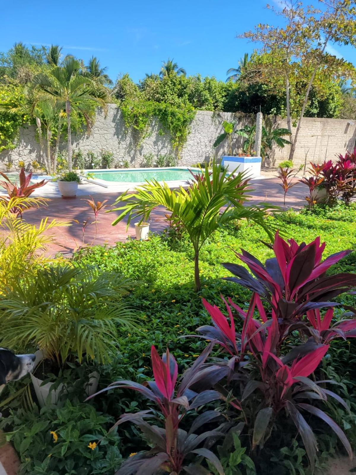 La Pucca Hotel Boutique Resort Penita de Jaltemba Ngoại thất bức ảnh