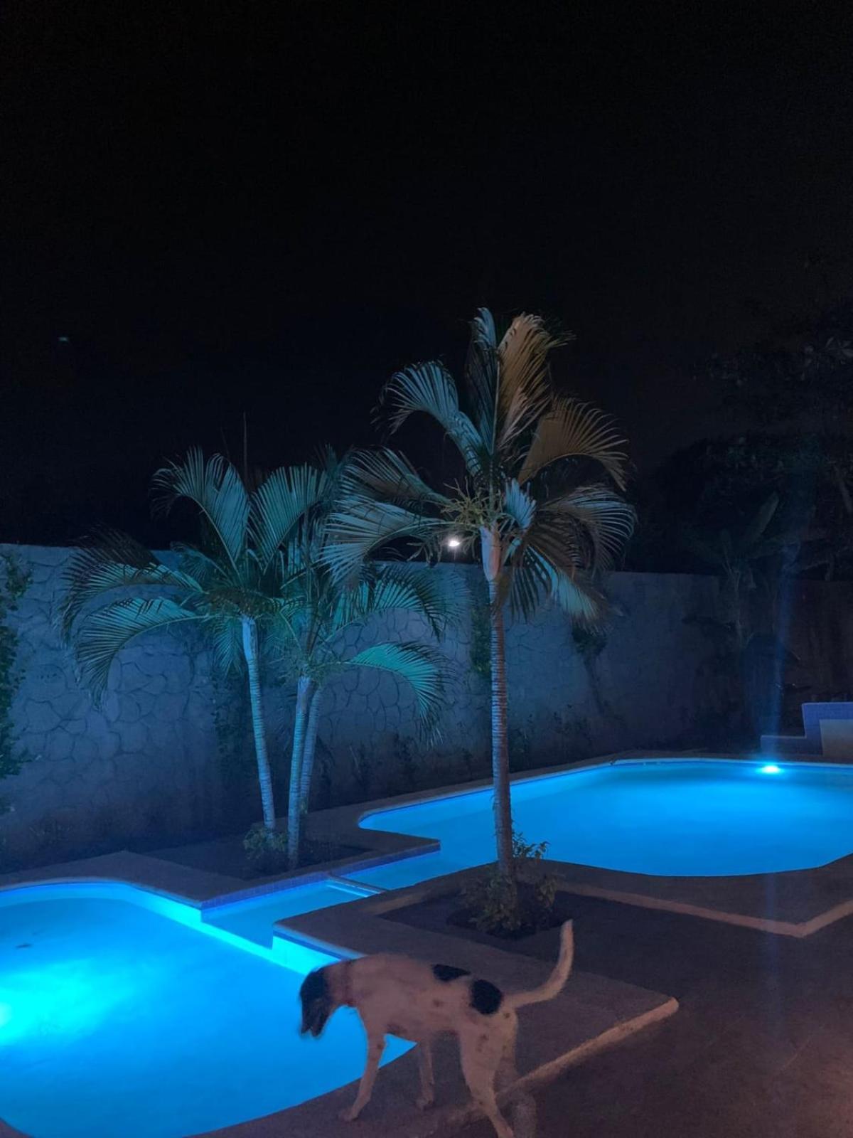 La Pucca Hotel Boutique Resort Penita de Jaltemba Ngoại thất bức ảnh